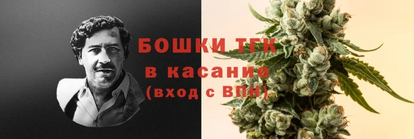 эйфоретик Сосновоборск