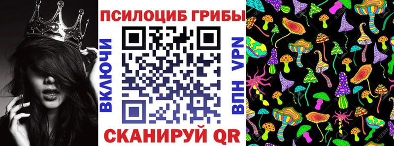 OMG онион  Воркута  Галлюциногенные грибы GOLDEN TEACHER 